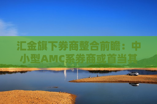 汇金旗下券商整合前瞻：中小型AMC系券商或首当其冲