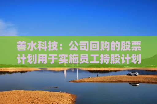 善水科技：公司回购的股票计划用于实施员工持股计划及/或股权激励