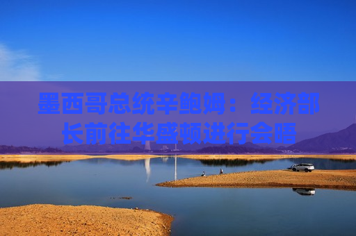 墨西哥总统辛鲍姆：经济部长前往华盛顿进行会晤