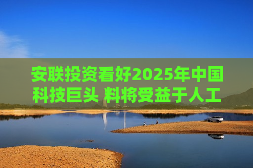 安联投资看好2025年中国科技巨头 料将受益于人工智能发展前景