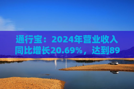通行宝：2024年营业收入同比增长20.69%，达到89,504.54万元