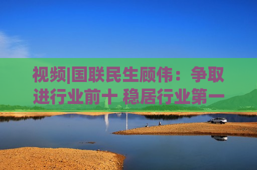 视频|国联民生顾伟：争取进行业前十 稳居行业之一梯队