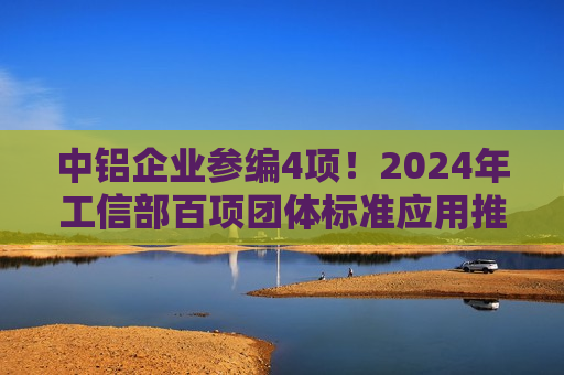 中铝企业参编4项！2024年工信部百项团体标准应用推广典型案例发布