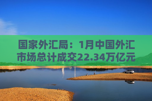 国家外汇局：1月中国外汇市场总计成交22.34万亿元人民币 其中银行对客户市场成交4.03万亿元人民币
