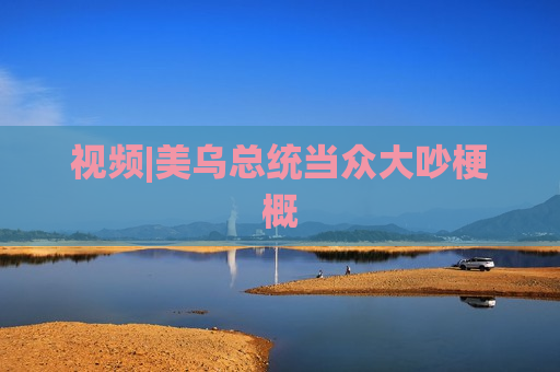 视频|美乌总统当众大吵梗概