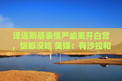 泽连斯基表情严峻离开白宫，饭都没吃 美媒：有沙拉和烤鸡等  第1张