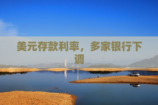 美元存款利率，多家银行下调