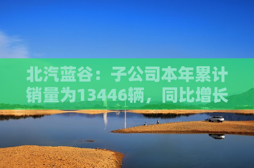 北汽蓝谷：子公司本年累计销量为13446辆，同比增长391.99%