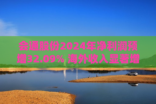 会通股份2024年净利润预增32.09% 海外收入显著增长