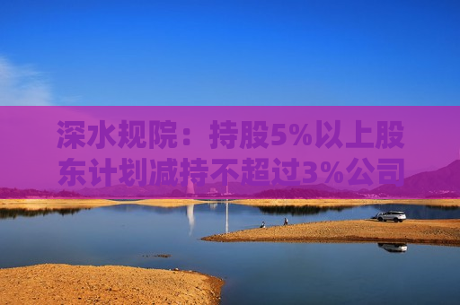 深水规院：持股5%以上股东计划减持不超过3%公司股份