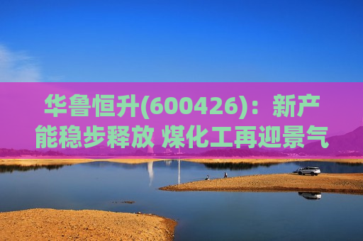 华鲁恒升(600426)：新产能稳步释放 煤化工再迎景气周期  第1张