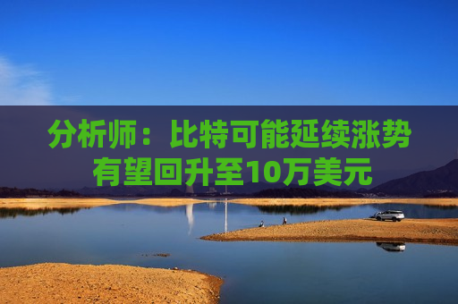 分析师：比特可能延续涨势 有望回升至10万美元