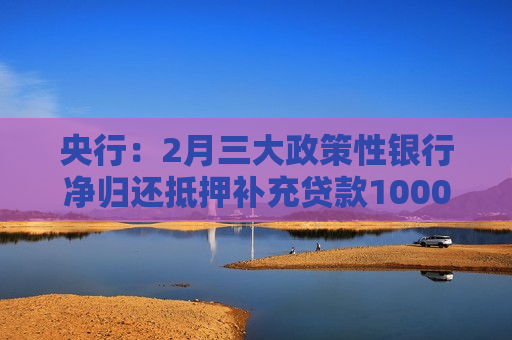 央行：2月三大政策性银行净归还抵押补充贷款1000亿元