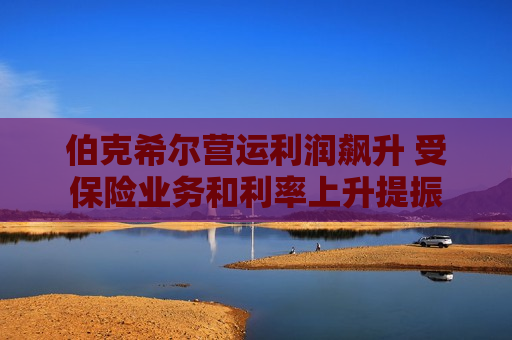 伯克希尔营运利润飙升 受保险业务和利率上升提振