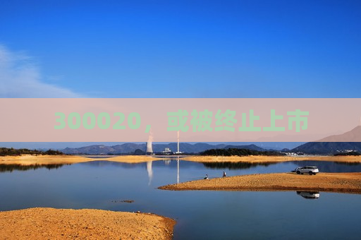 300020，或被终止上市
