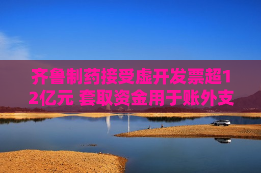 齐鲁制药接受虚开发票超12亿元 套取资金用于账外支出