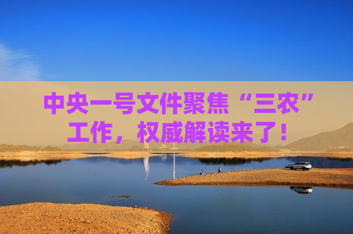 中央一号文件聚焦“三农”工作，权威解读来了！