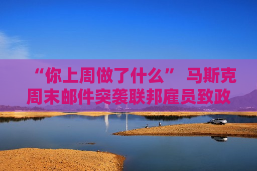 “你上周做了什么” 马斯克周末邮件突袭联邦雇员致 *** 遭诉讼