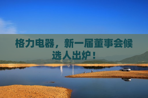 格力电器，新一届董事会候选人出炉！