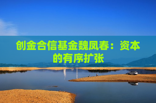 创金合信基金魏凤春：资本的有序扩张