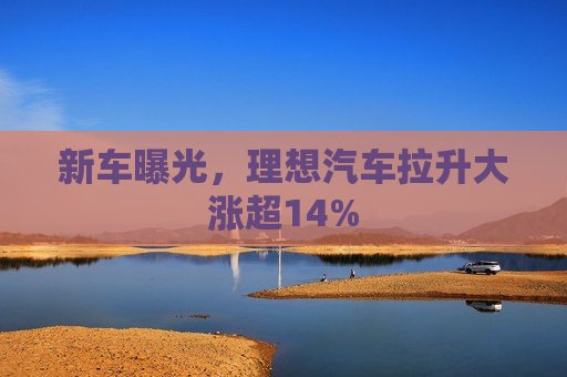 新车曝光，理想汽车拉升大涨超14%