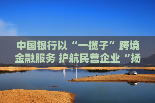 中国银行以“一揽子”跨境金融服务 护航民营企业“扬帆出海”  第1张