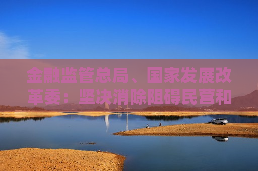 金融监管总局、国家发展改革委：坚决消除阻碍民营和小微企业融资的各种隐形壁垒