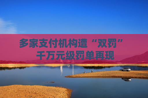 多家支付机构遭“双罚”  千万元级罚单再现