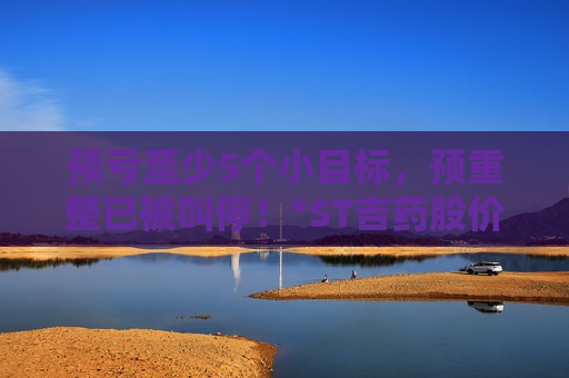 预亏至少5个小目标，预重整已被叫停！*ST吉药股价踩上“1元线”