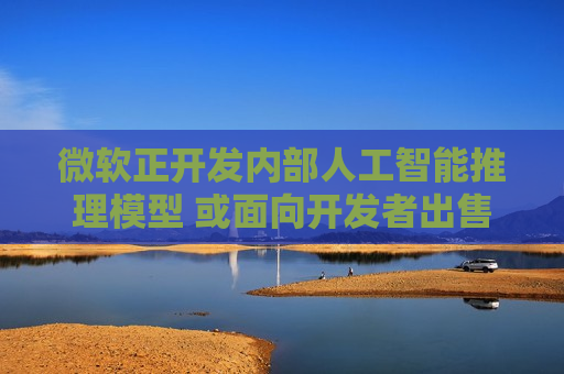 微软正开发内部人工智能推理模型 或面向开发者出售  第1张