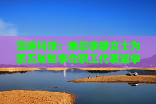 雪峰科技：选举李静女士为第五届监事会职工代表监事