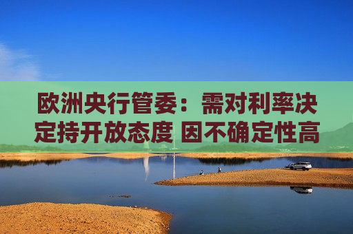 欧洲央行管委：需对利率决定持开放态度 因不确定性高企