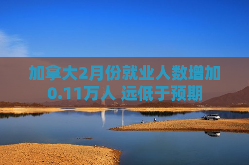 加拿大2月份就业人数增加0.11万人 远低于预期