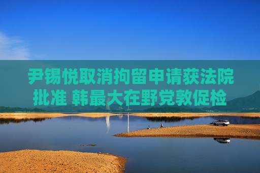 尹锡悦取消拘留申请获法院批准 韩更大在野党敦促检方立即抗诉