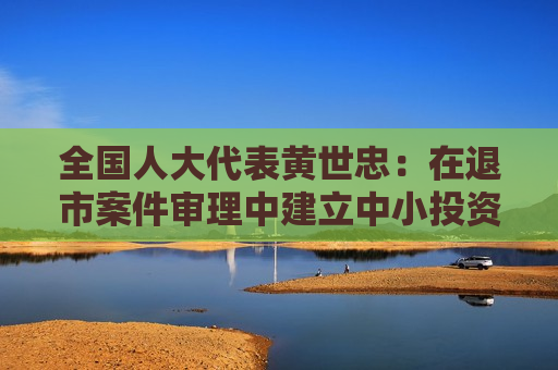 全国人大代表黄世忠：在退市案件审理中建立中小投资者救济机制
