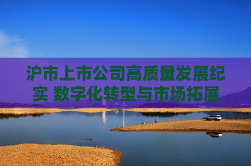 沪市上市公司高质量发展纪实 数字化转型与市场拓展双轮驱动