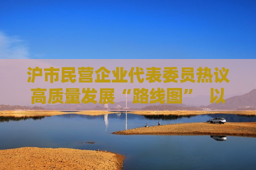 沪市民营企业代表委员热议高质量发展“路线图”  以“闯”的精神“创”的劲头全力开拓发展新局面