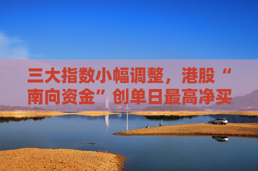 三大指数小幅调整，港股“南向资金”创单日更高净买入纪录丨复盘论