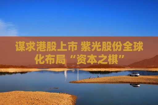 谋求港股上市 紫光股份全球化布局“资本之棋”