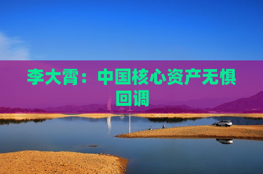 李大霄：中国核心资产无惧回调