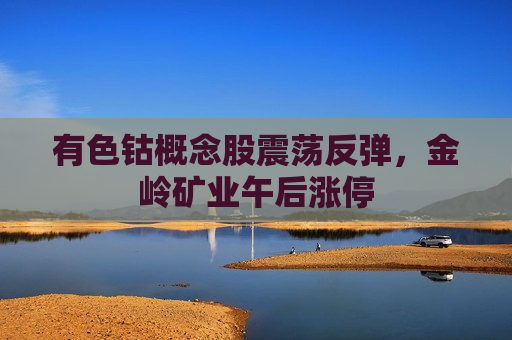 有色钴概念股震荡反弹，金岭矿业午后涨停