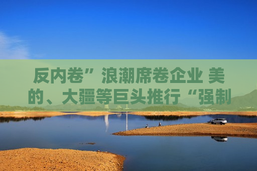 反内卷”浪潮席卷企业 美的、大疆等巨头推行“强制下班