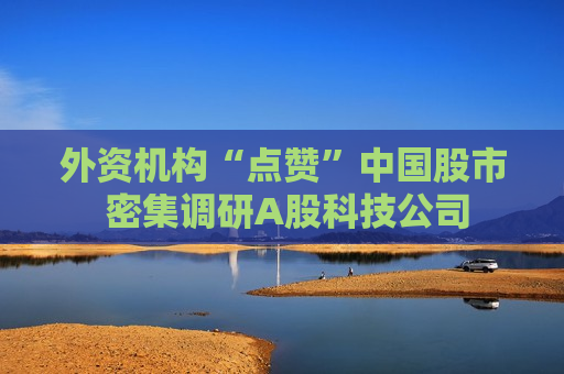 外资机构“点赞”中国股市 密集调研A股科技公司