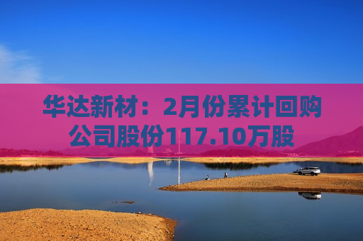 华达新材：2月份累计回购公司股份117.10万股