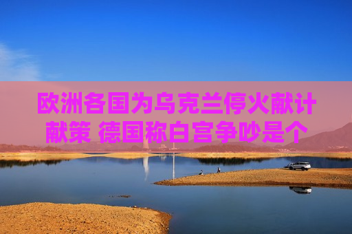 欧洲各国为乌克兰停火献计献策 德国称白宫争吵是个预设的陷阱