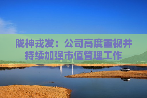 陇神戎发：公司高度重视并持续加强市值管理工作