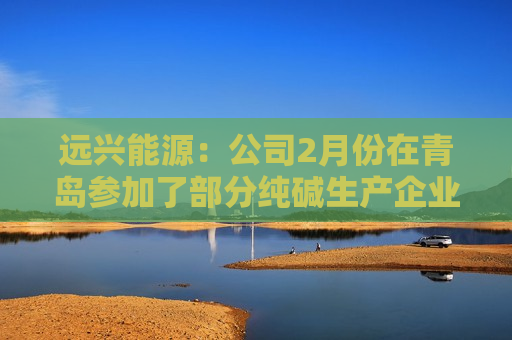 远兴能源：公司2月份在青岛参加了部分纯碱生产企业市场交流会