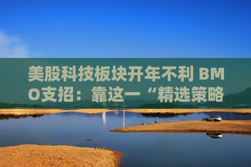 美股科技板块开年不利 BMO支招：靠这一“精选策略”仍能逆势获利