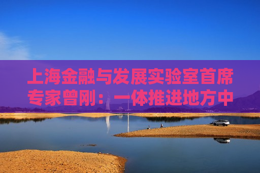 上海金融与发展实验室首席专家曾刚：一体推进地方中小金融机构风险处置和转型发展 有助于维护金融体系稳定