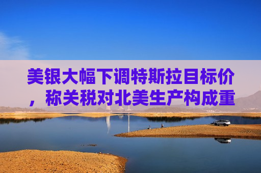 美银大幅下调特斯拉目标价，称关税对北美生产构成重大风险